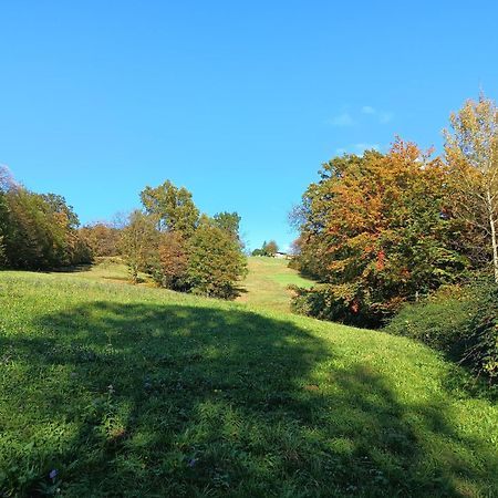 Agriturismo Fattoria Ortoalpino Trichiana Dış mekan fotoğraf