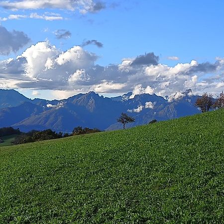 Agriturismo Fattoria Ortoalpino Trichiana Dış mekan fotoğraf