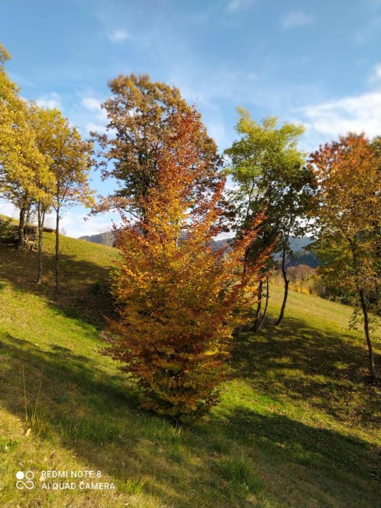 Agriturismo Fattoria Ortoalpino Trichiana Dış mekan fotoğraf