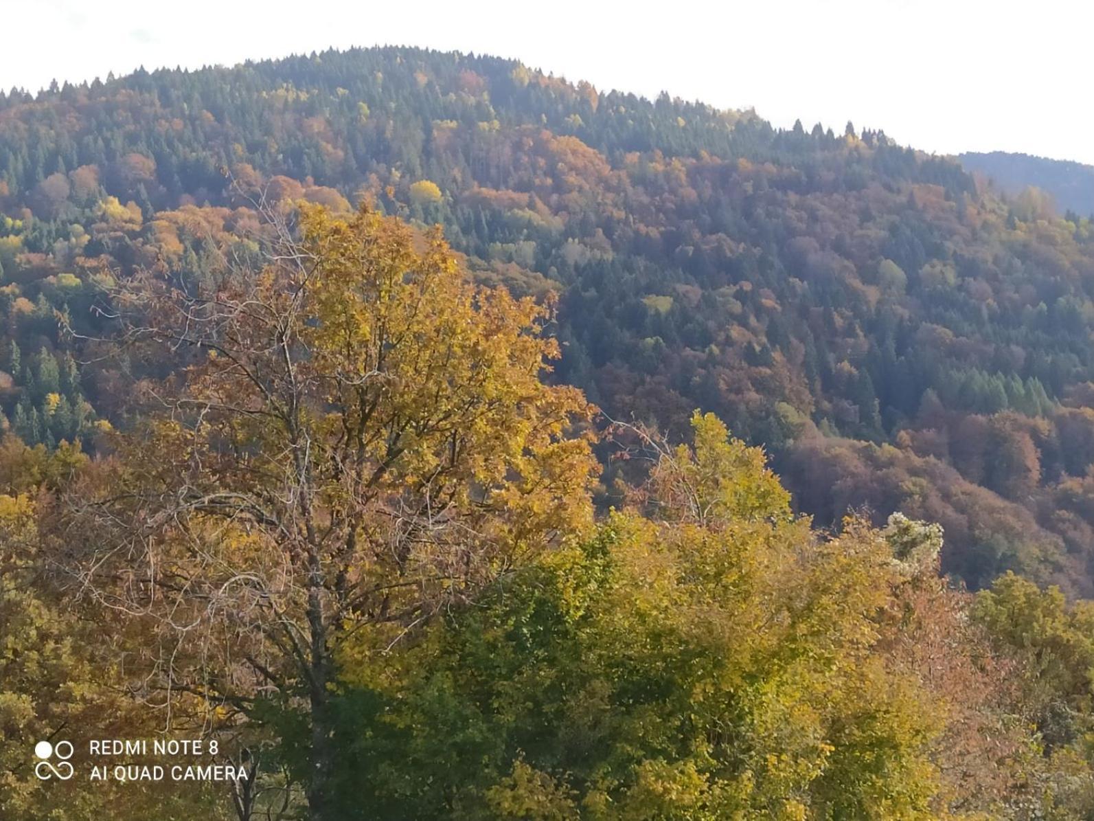 Agriturismo Fattoria Ortoalpino Trichiana Dış mekan fotoğraf