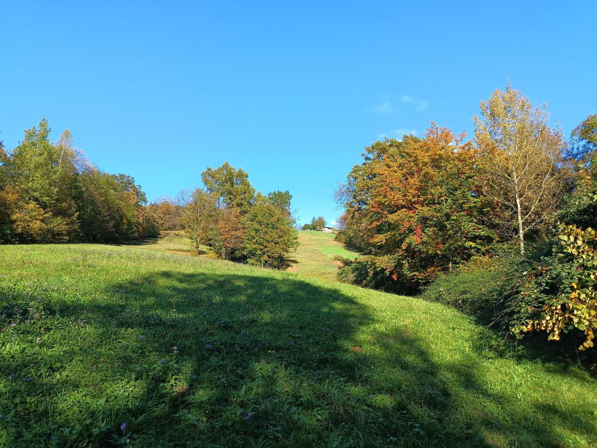 Agriturismo Fattoria Ortoalpino Trichiana Dış mekan fotoğraf