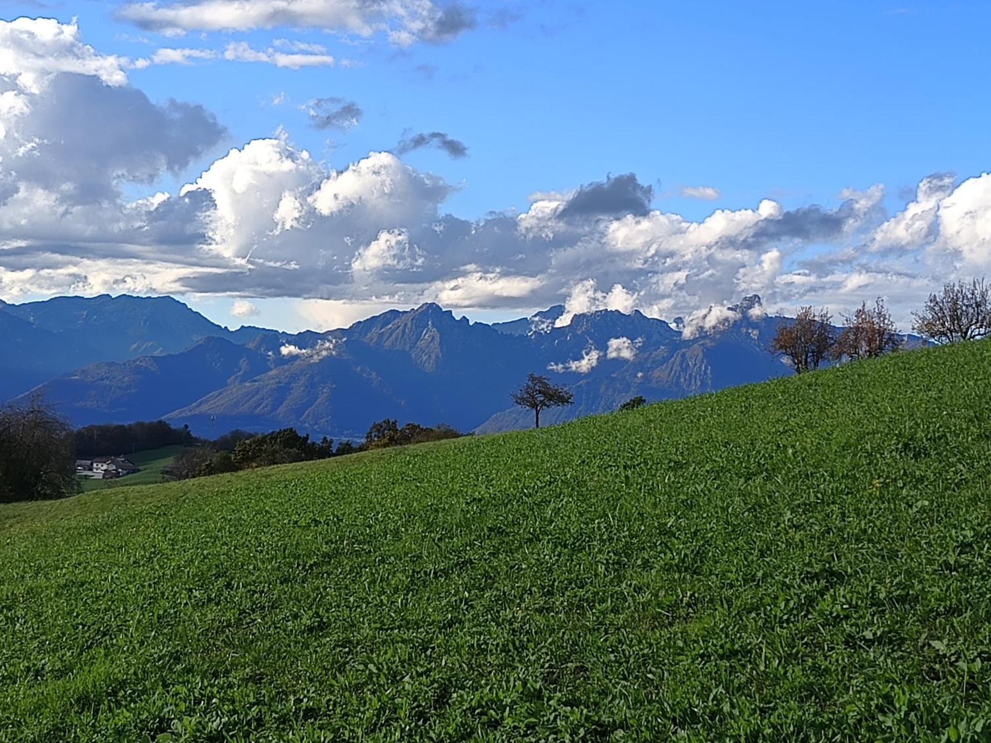 Agriturismo Fattoria Ortoalpino Trichiana Dış mekan fotoğraf