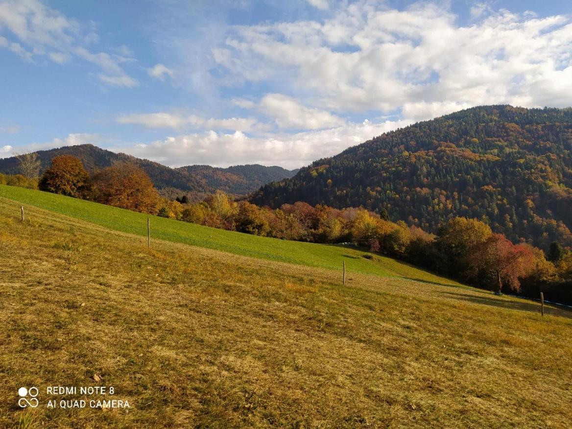 Agriturismo Fattoria Ortoalpino Trichiana Dış mekan fotoğraf