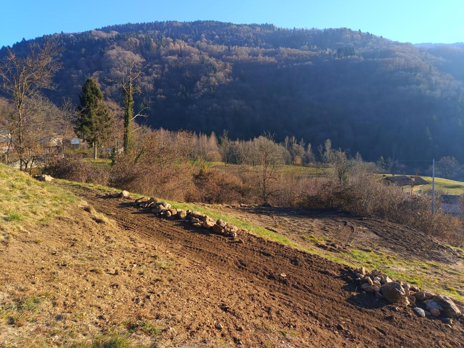 Agriturismo Fattoria Ortoalpino Trichiana Dış mekan fotoğraf