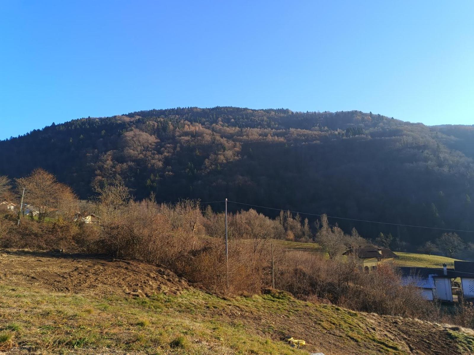 Agriturismo Fattoria Ortoalpino Trichiana Dış mekan fotoğraf
