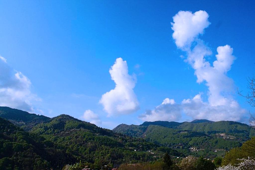 Agriturismo Fattoria Ortoalpino Trichiana Dış mekan fotoğraf