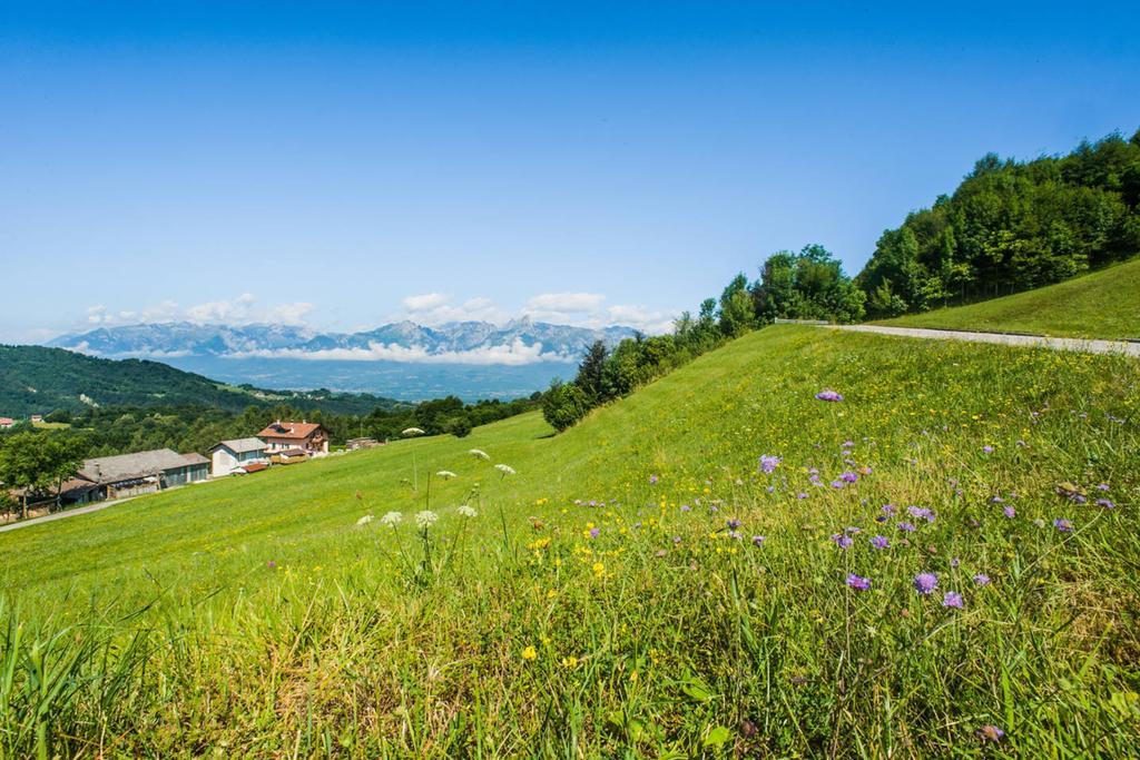 Agriturismo Fattoria Ortoalpino Trichiana Dış mekan fotoğraf