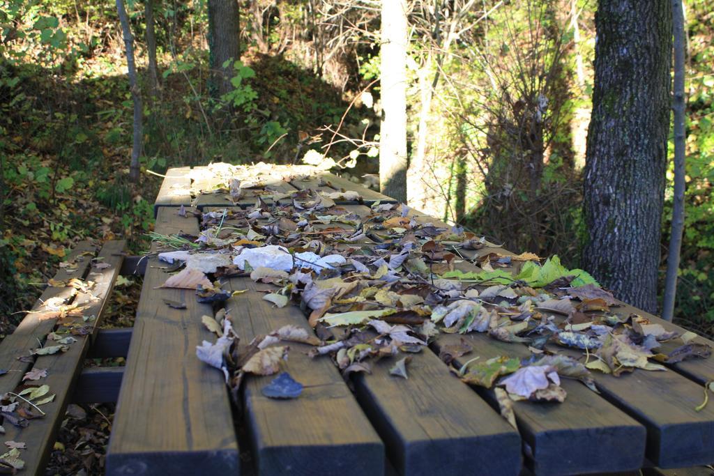 Agriturismo Fattoria Ortoalpino Trichiana Dış mekan fotoğraf