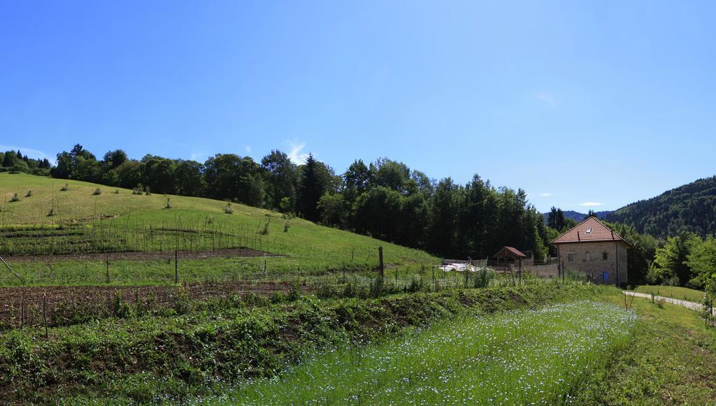 Agriturismo Fattoria Ortoalpino Trichiana Dış mekan fotoğraf